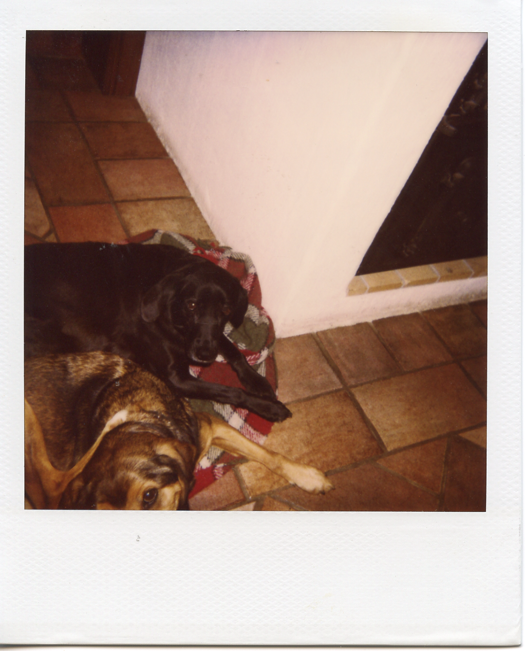 Piff and Puff, Onsala.