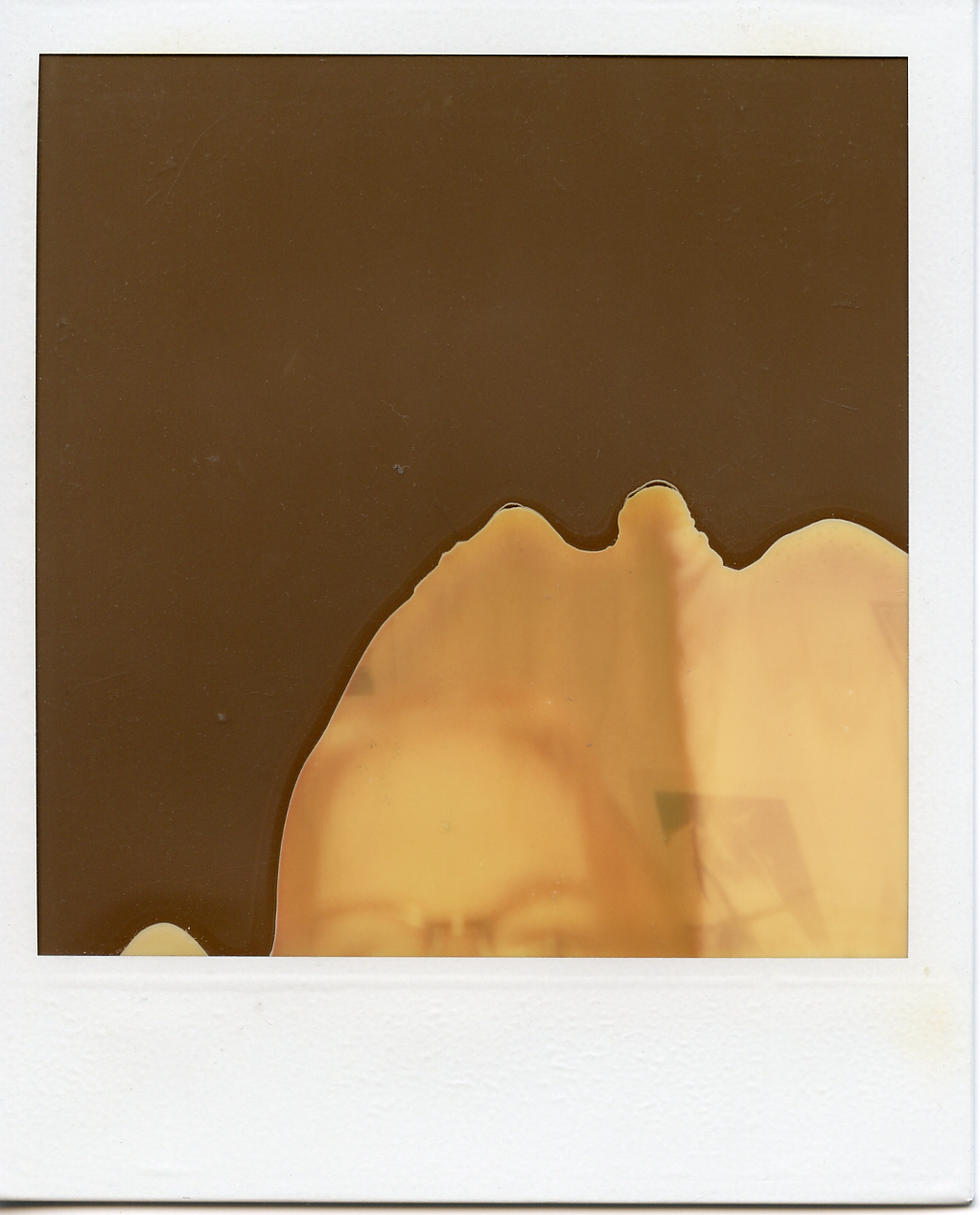 Damaged polaroid, mirror selfie.