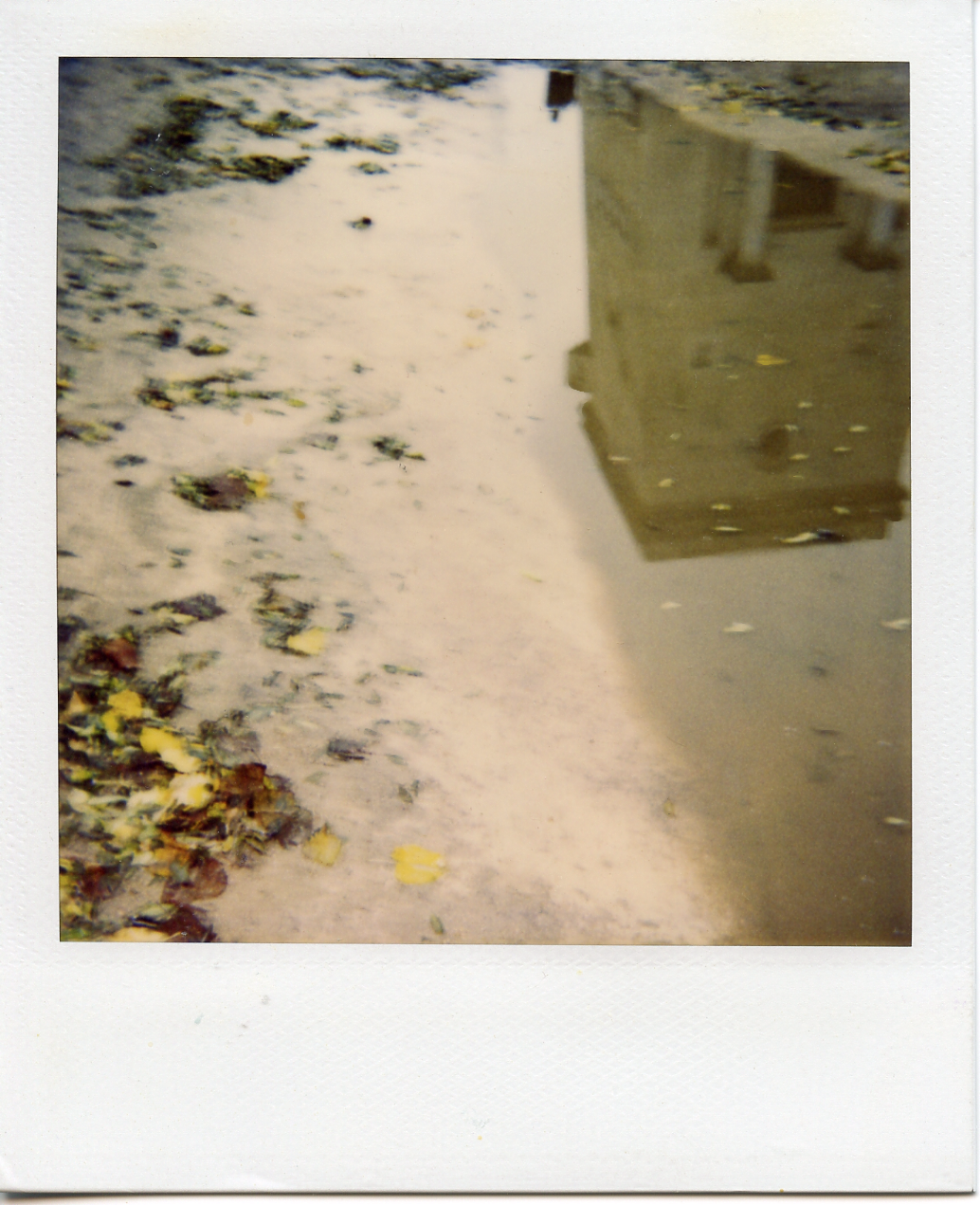 Water puddle, Paris. 