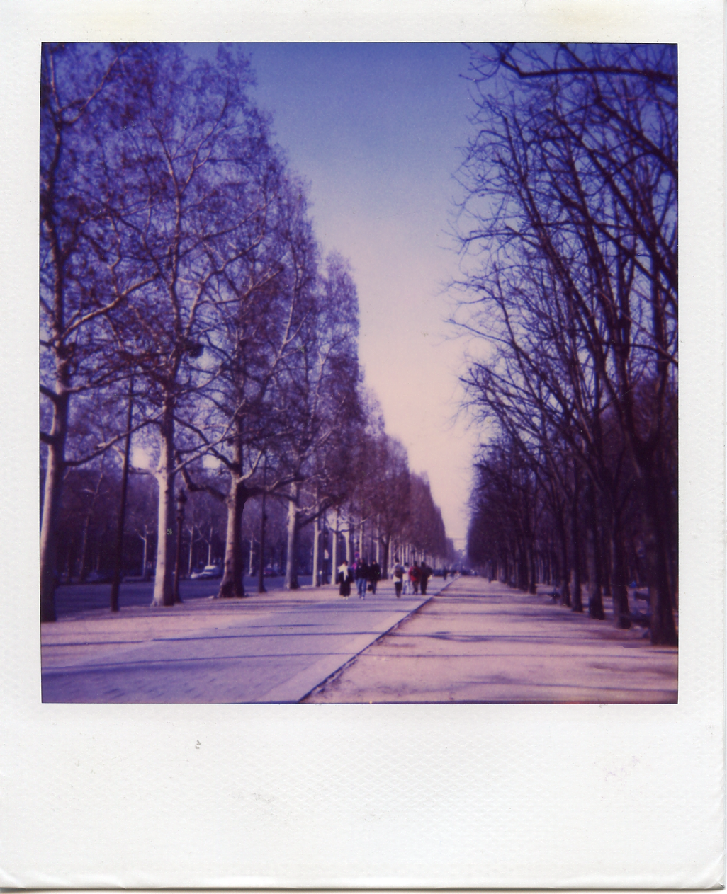 Champs Elysees, Paris, in winter. 