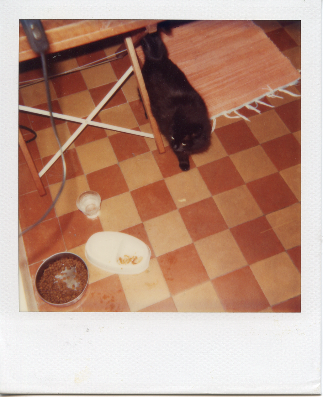 Ophelia, my kitchen in Paris. 