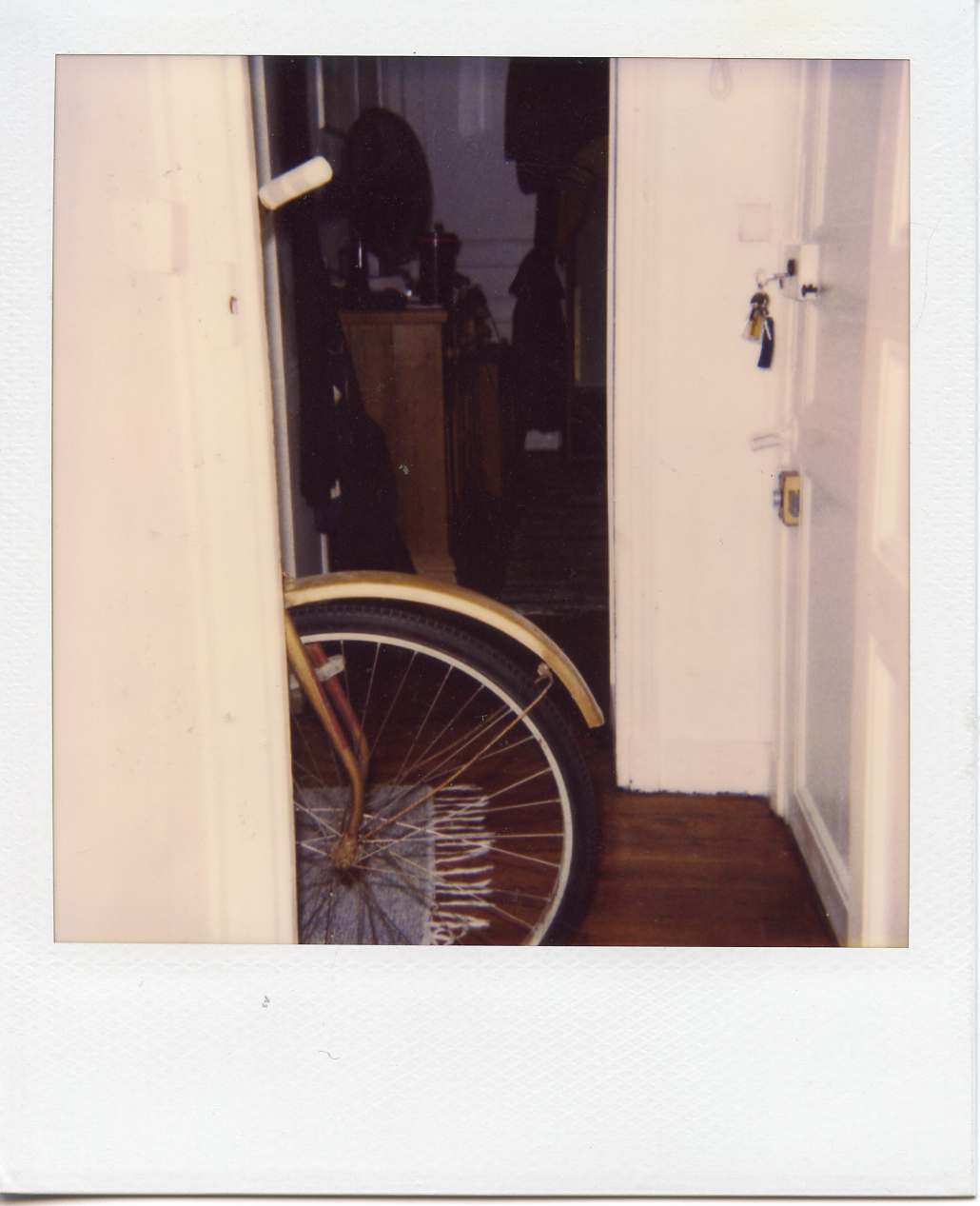 Gold bike, my apartment, Paris. View from the toilet.