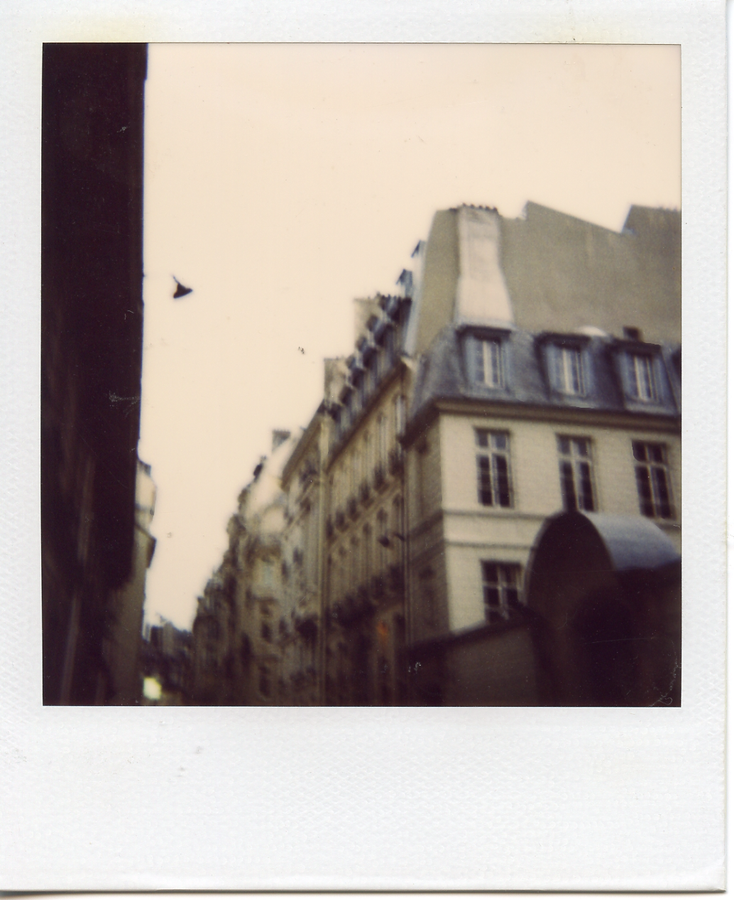 Gray winter sky, Paris. 