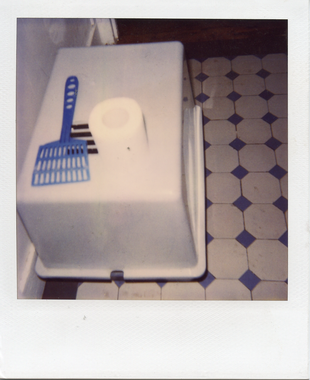 Cat toilet in the toilet, Paris. 